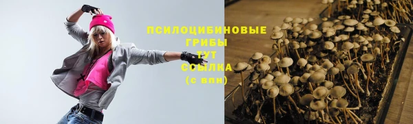 мдпв Зеленодольск