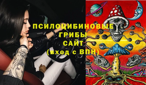 мдпв Зеленодольск