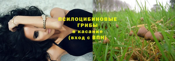 мдпв Зеленодольск