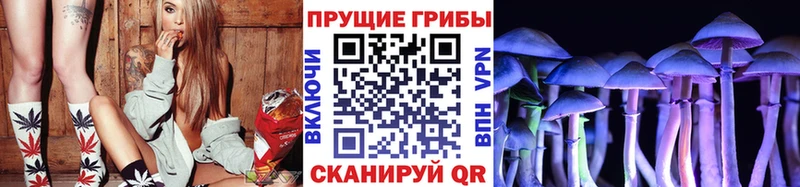 Купить где  Ухта  Псилоцибиновые грибы Psilocybe 